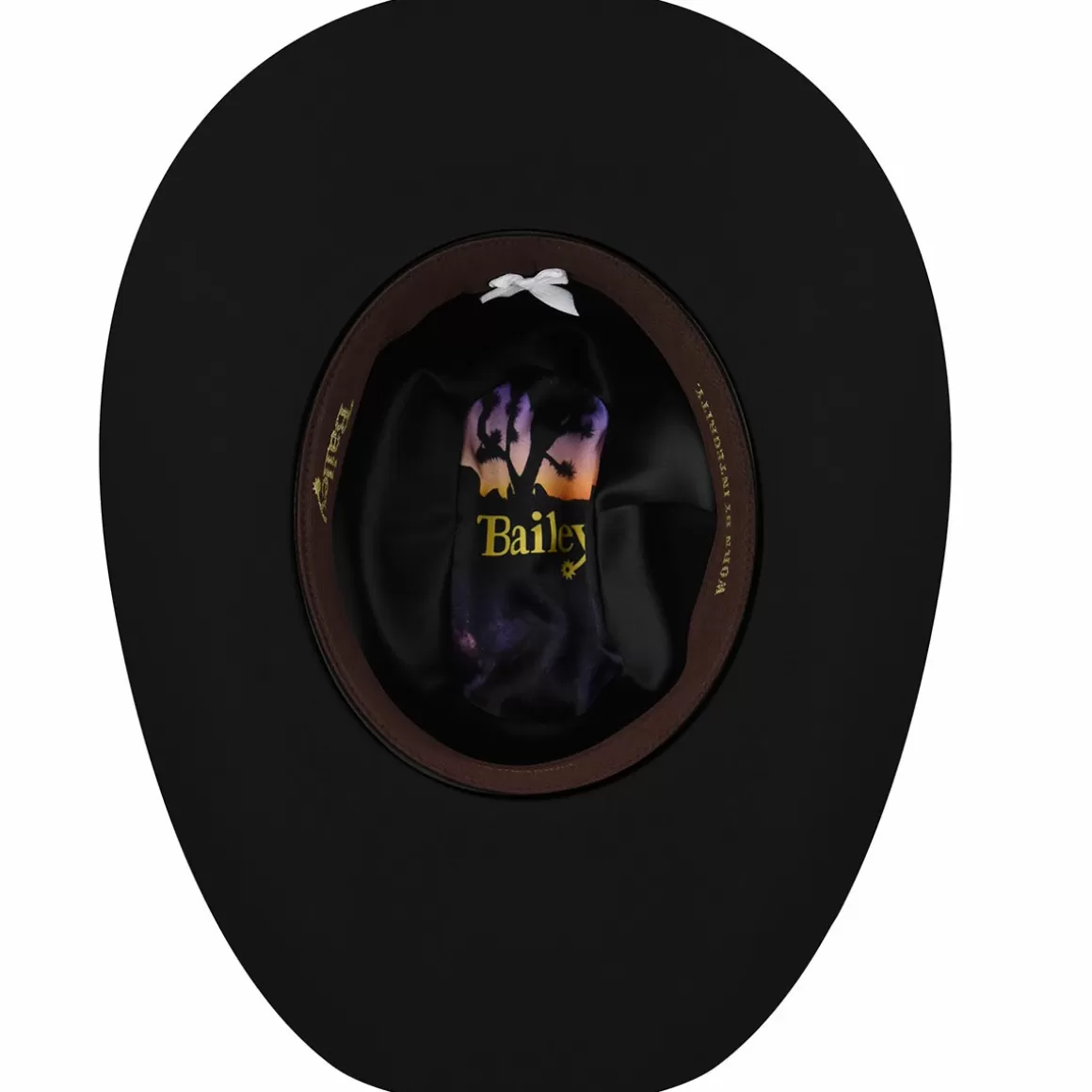 Bailey Hats Rodeo | Jessup 2X