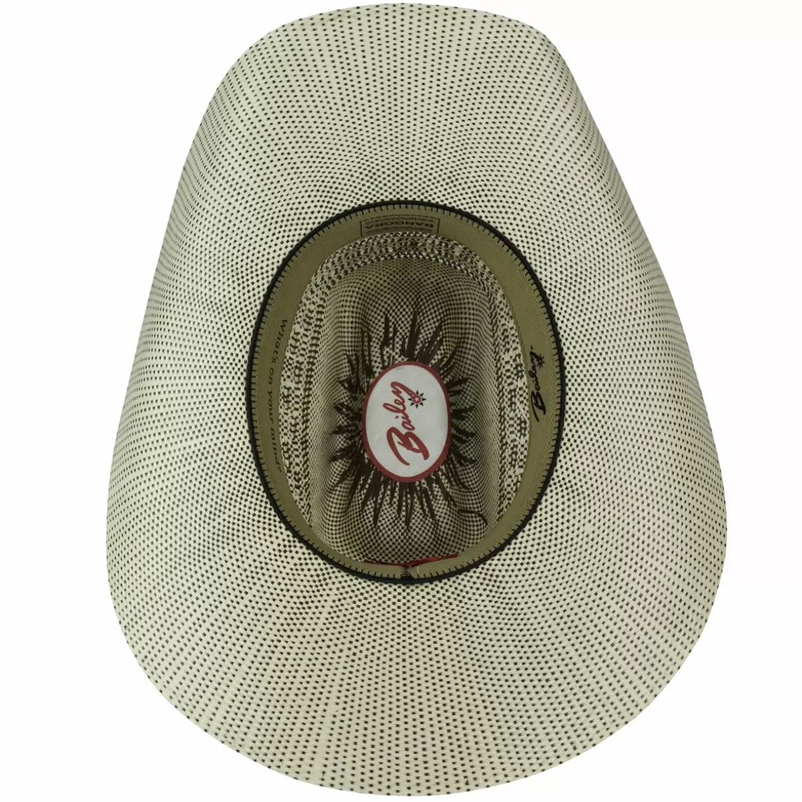 Bailey Hats Straw | Shandrach Natural/Brown